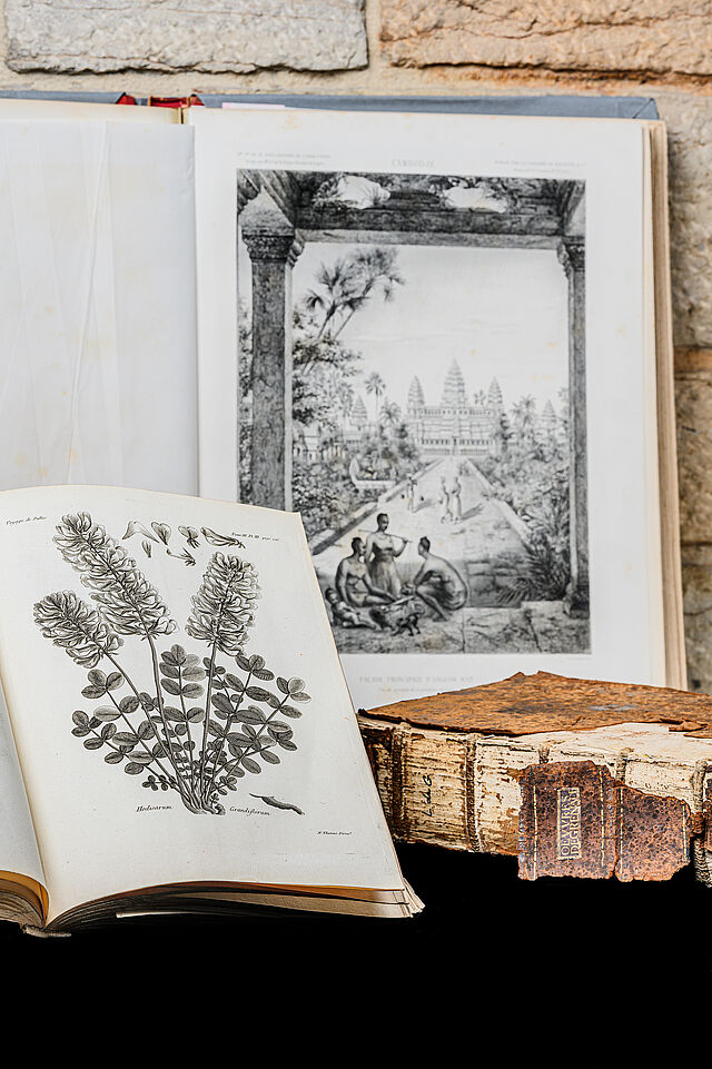150 ans de l'UCLy: Visite du fond ancien de la Bibliothèque Universitaire