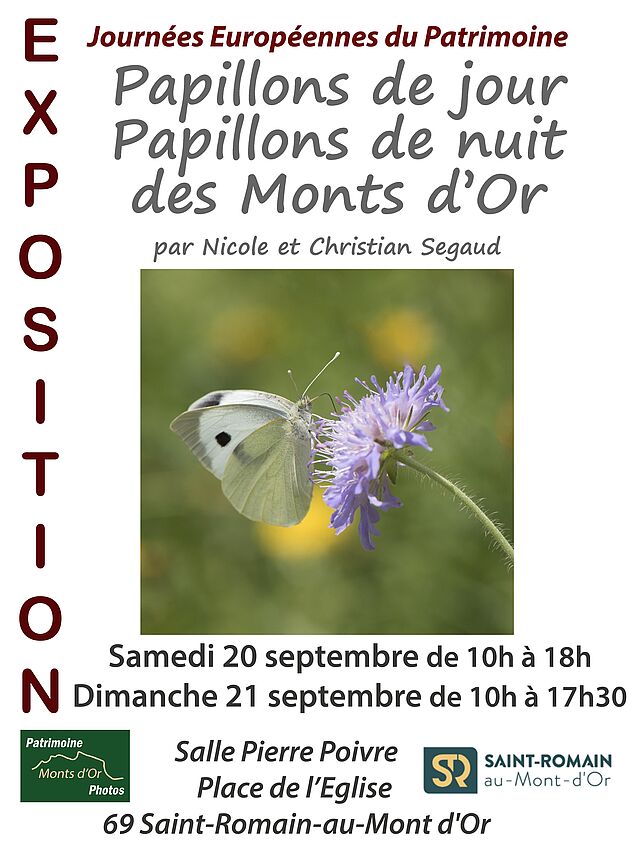Exposition - Les papillons de jour et les papillons de nuit du Mont d'Or