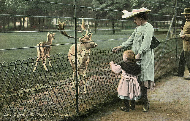 Visite guidée : Histoire du Parc zoologique