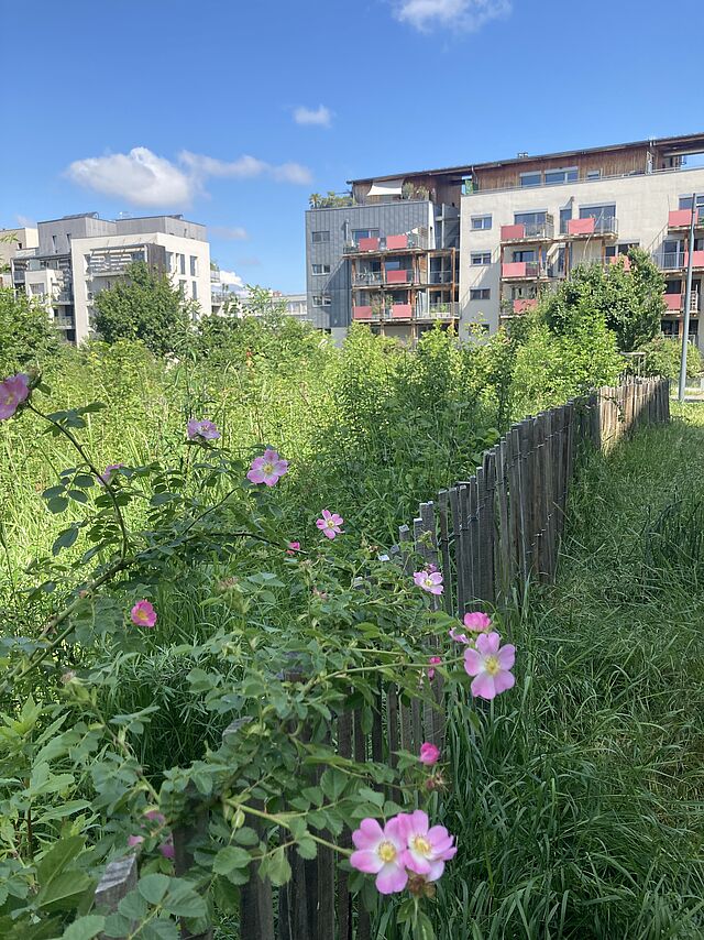 Inauguration d'un nouveau Curieux Détours