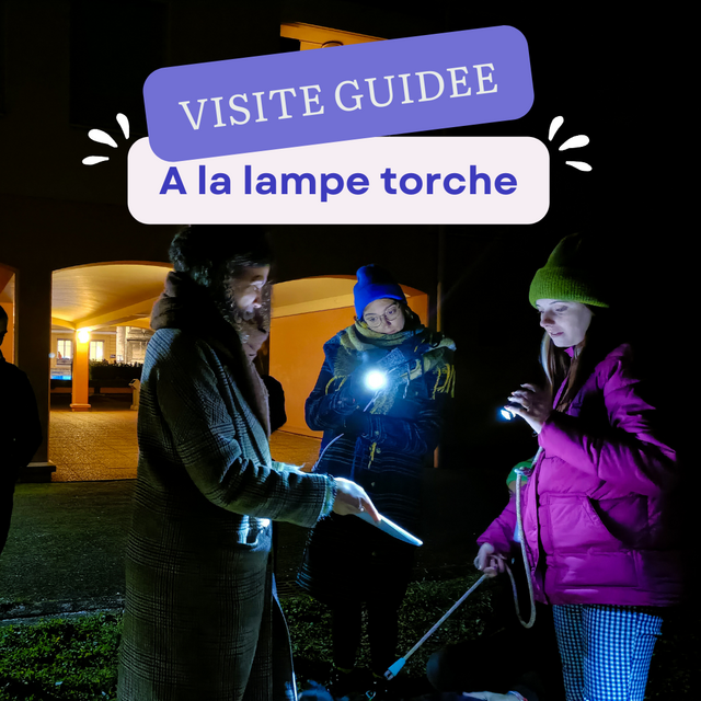 Visite nocturne à la lampe torche
