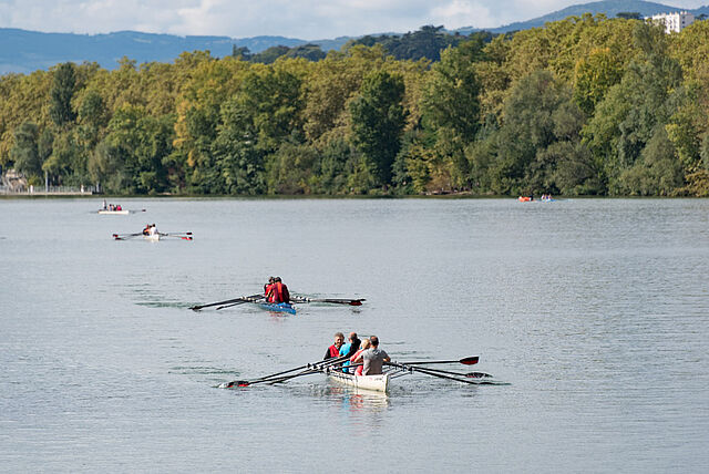 Aviron club Lyon Caluire