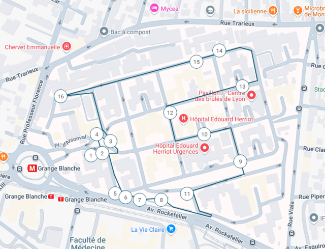 Une cité-jardin pour les patients : l'hôpital selon Tony Garnier