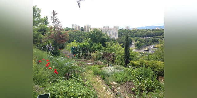 Visite commentée des jardins ouvriers Les Eglantiers près du Fort de Loyasse